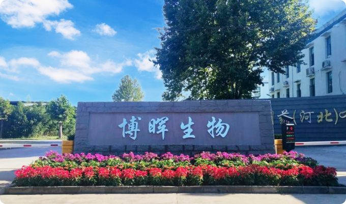 Bohui Biopharmaceutical (Hebei) Co., Ltd.